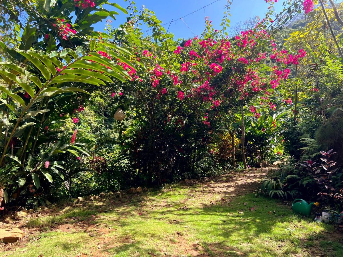 Finca La Selvita Chocolate Experience Buritaca Exterior photo